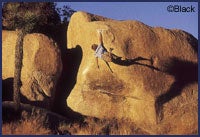 Friends of Joshua Tree revives Climb Sm Friends of Joshua Tree revives Climb Smart in the Park