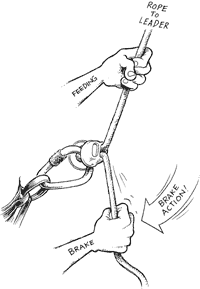 Tech Tips - Sport - Hands down