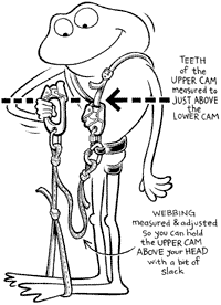 Tech Tips - Aid - Froggy goes a juggin& Tech Tips - Aid - Froggy goes a juggin’