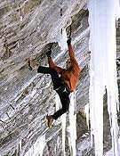 Berger Flashes M12 Berger Flashes M12