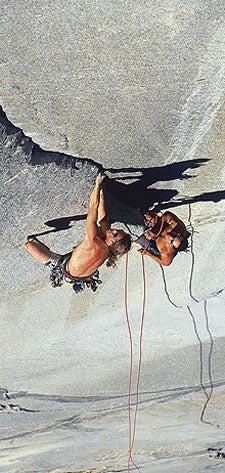 zodiac-230_2416 None