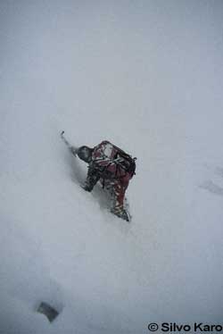 cerro_04-224_2078 None