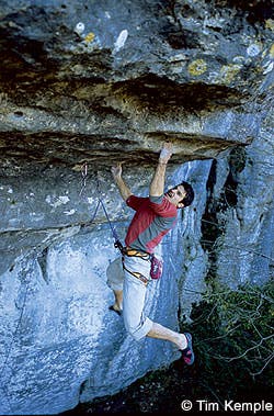 CLB-0407-FRED-01_2904 None