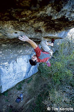 CLB-0407-FRED-02_2905 None