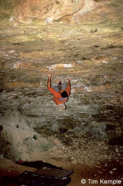 CLB-0407-FRED-06_2907 None