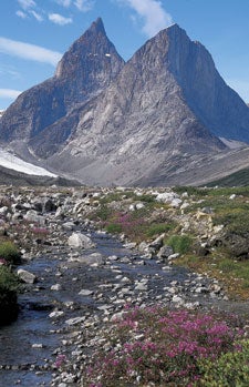 libecki223_02_3134 None