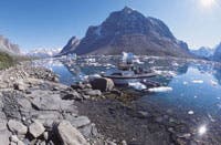 libecki223_12_3133 None