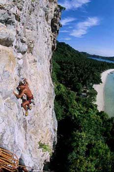 Phi Phi Relief Effort Growing Phi Phi Relief Effort Growing