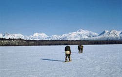 0409-DENALI-03_1792 None