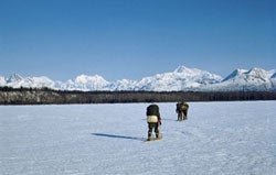 0409-DENALI-03_1792 None