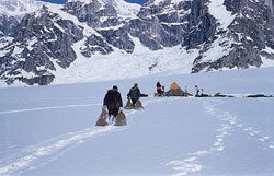 0409-DENALI-06_1794 None