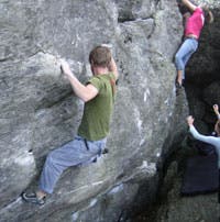 houndears1_2725 None