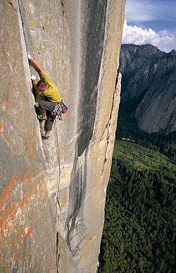 CLB-0410-CALDWELL-10_1118 None