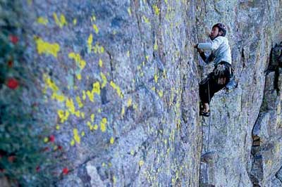 sandias241hori2_2187 None