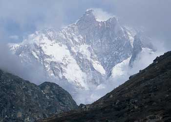 Jannucoveted_46 None