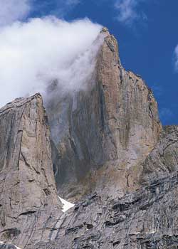 trangomilehigh_47 None