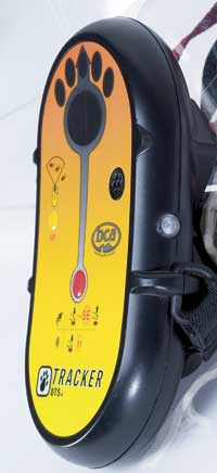 Gearing Up For Winter - No. 245