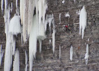 IsraelBlanco-festiglce_1842 None