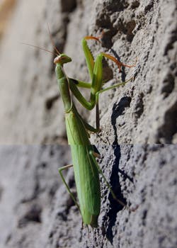 DaveGraham-PROBLOG4-3_2609 None