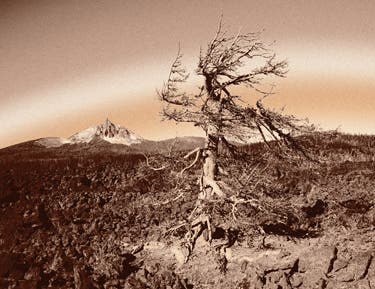 otegi-cascades-problog7_1924 None