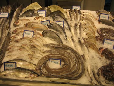 el-chorro-048_598 None