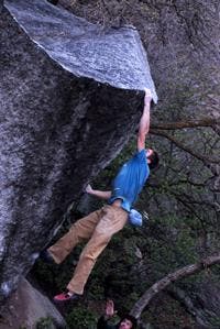 EPPB7-LCC-1_200_3836 None