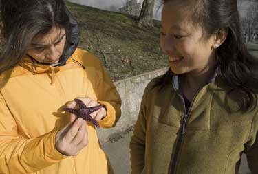 JB-problog11_1715_3515 None