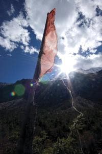 poleFlagAnderson_200_3925 None