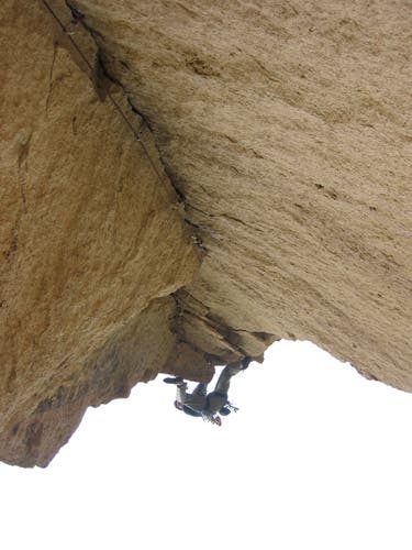 stepasidesucka-mikey-3_4127 None