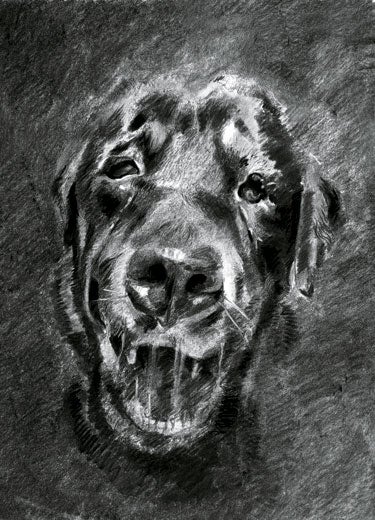 BlackDog265-ragged-edges_7846 None
