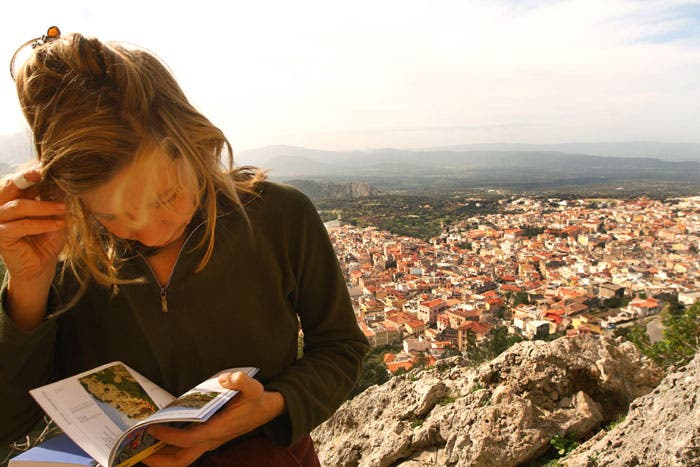 Sardainacan2-2-guidebook_7795 None