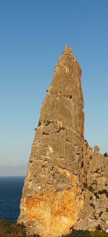 Sardainacan2-6-golor_7771 None