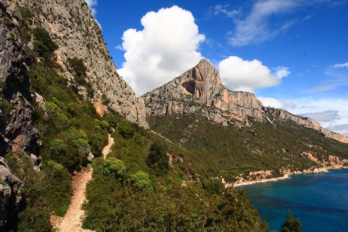 Sardainacan2-8_7764 None