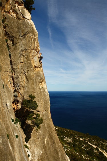Sardainacan3-1caro-arete_7899 None