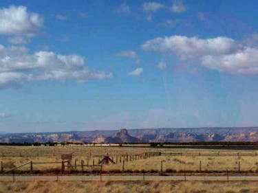 LLPB2-dumtndrygrass_8389 None