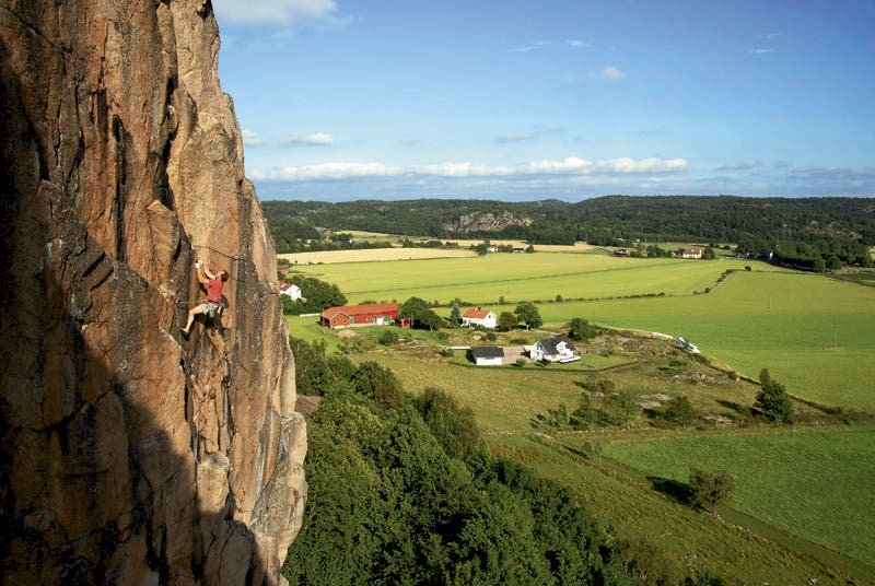 Dr_Feg_Palsgard2_11350 None