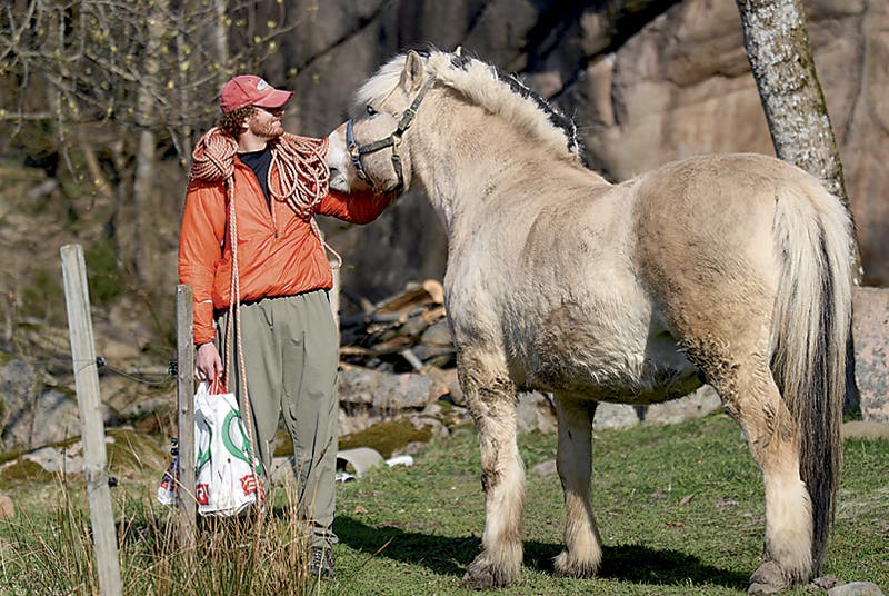 Prince_meets_Pizem_11386 None