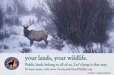 Your Lands, Your Wildlife, Your Story Your Lands, Your Wildlife, Your Story