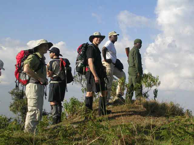 Kilimanjaro-3_13649 None