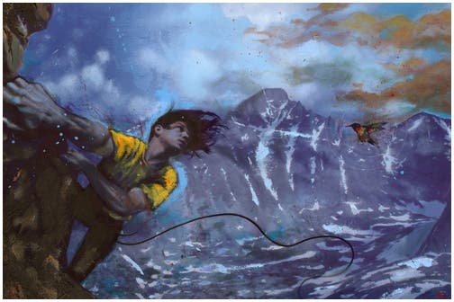 gallery_iii_img11_14510 None