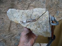 RoadsideAttraction-chunk-20_20223 None