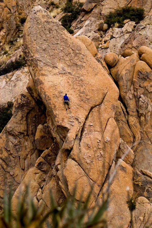 David-Daily_Owl-Rock_Cochis_17852 None