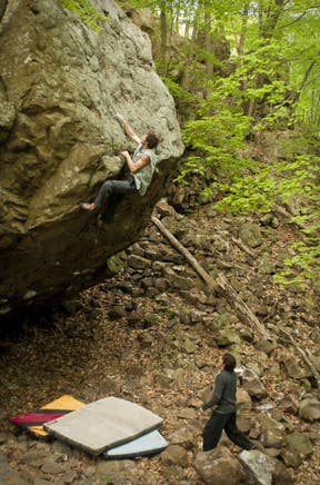 Phil-Schaal-1_18320 None