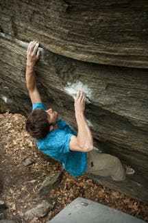 Phil-Schaal-4_18323 None