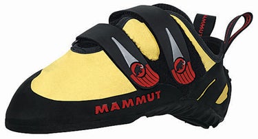 2009 Shoe Review - August 2009 2009 Shoe Review - August 2009