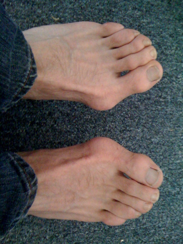 Susan E.B. Schwartz Reader Blog 12 Climbing