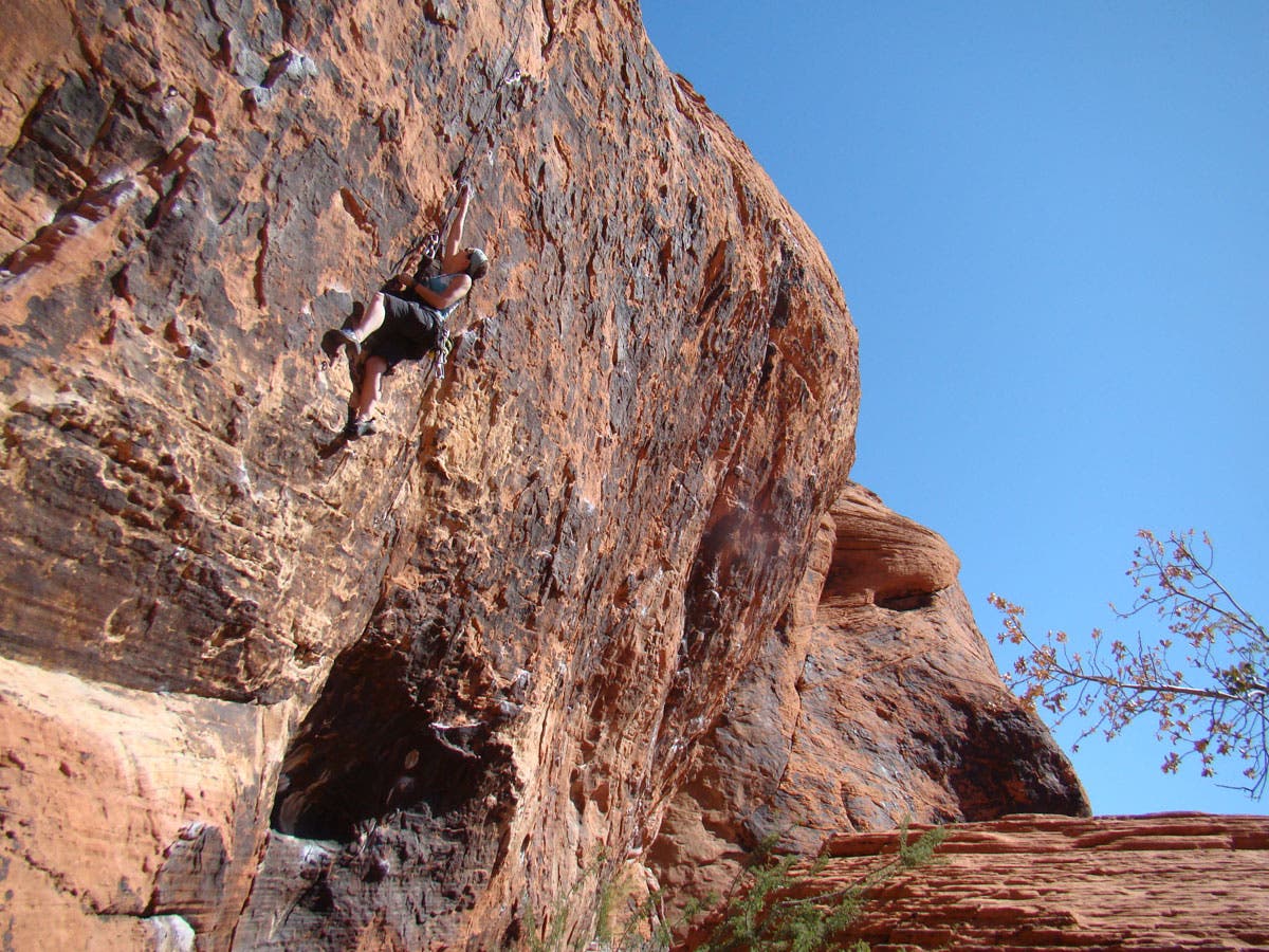 ELRB3-RedRocks-1_23128 None