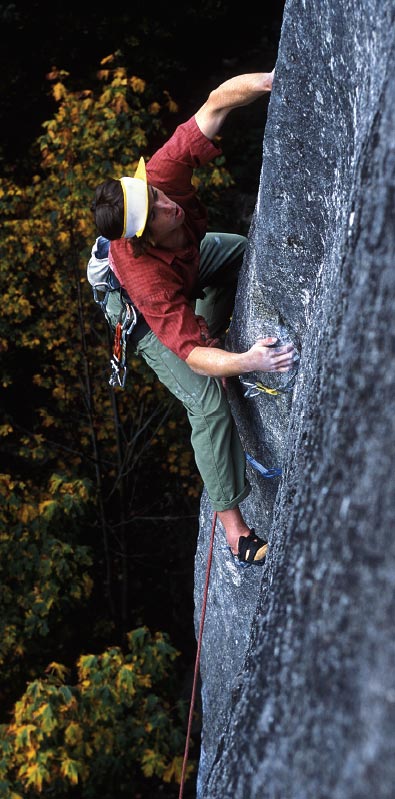 tpmv-Index279_21831 None