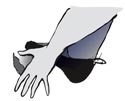 Tech Tip - Technique - HEELS OF STEEL Tech Tip - Technique - HEELS OF STEEL