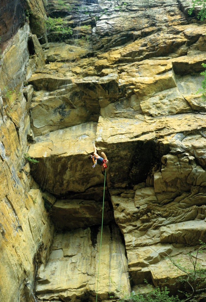 RobRobinsonHands_26788 None